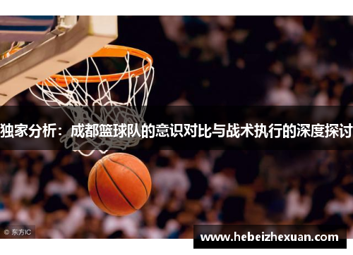 独家分析：成都篮球队的意识对比与战术执行的深度探讨