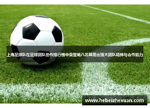 上海足球队在足球团队协作排行榜中荣登第八名展现出强大团队精神与合作能力