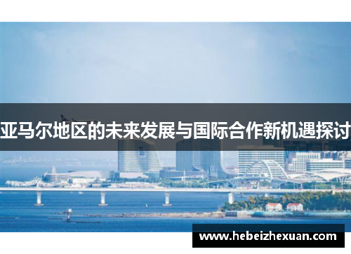 亚马尔地区的未来发展与国际合作新机遇探讨